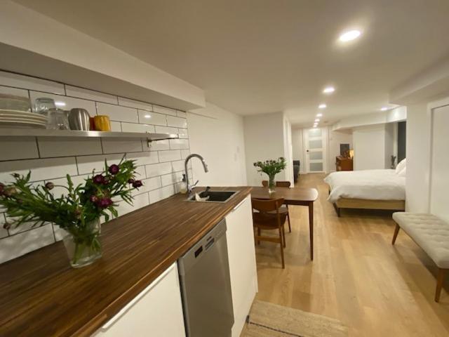 Lower Level Newly Renovated In Downtown Location Apartment *