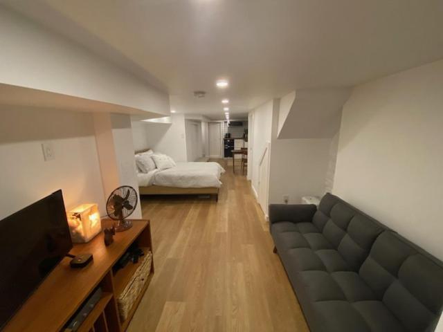 Lower Level Newly Renovated In Downtown Location Apartment Toronto