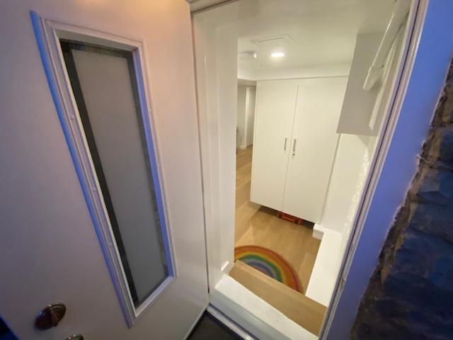 Lower Level Newly Renovated In Downtown Location Apartment *