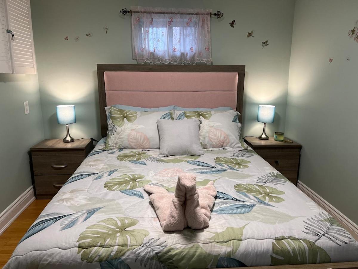 Entire Basement Apartment Toronto