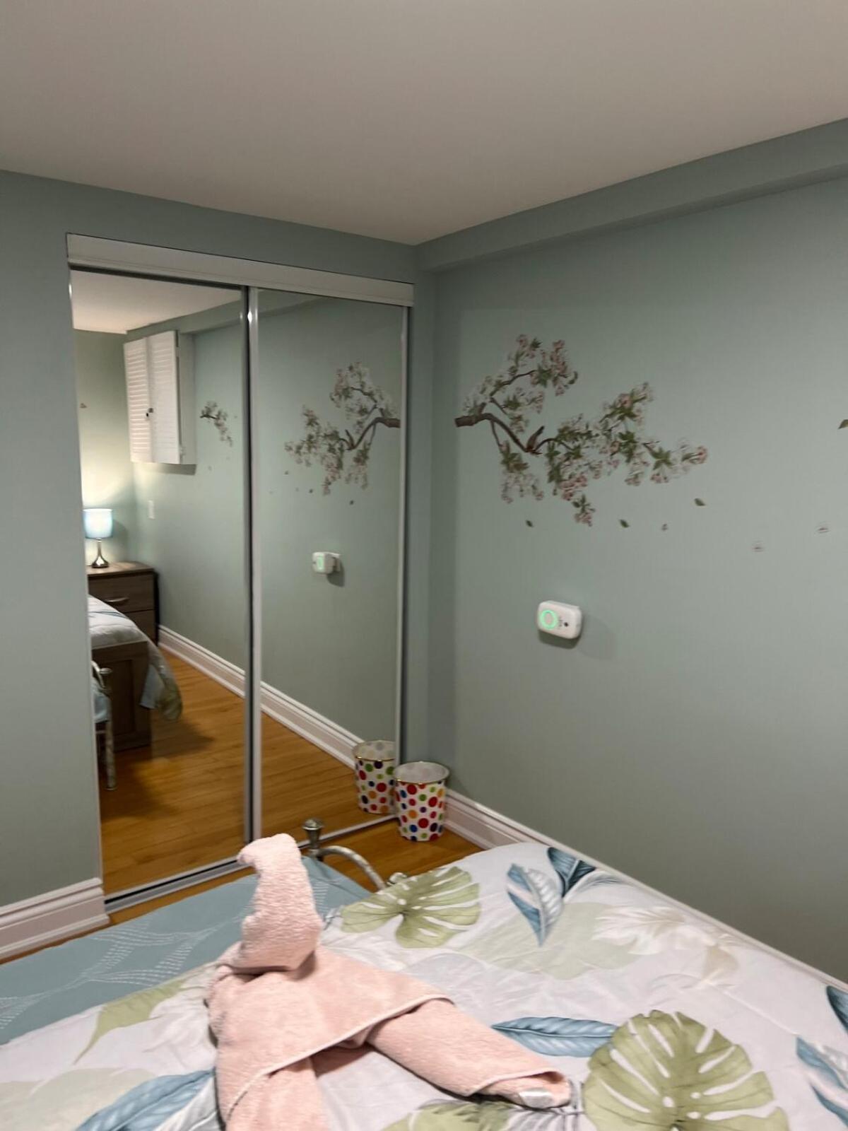 Entire Basement Apartment