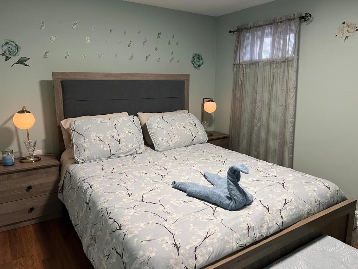 Entire Basement Apartment *