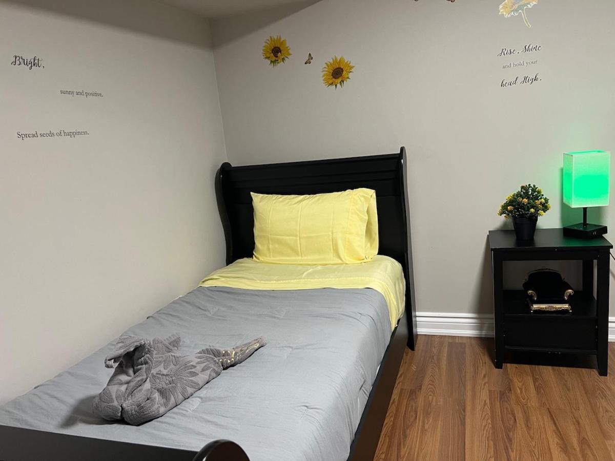 Entire Basement