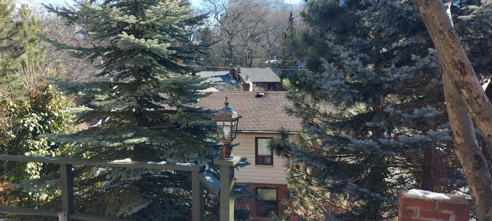 High Park Single With Personal Washroom And Kitchen