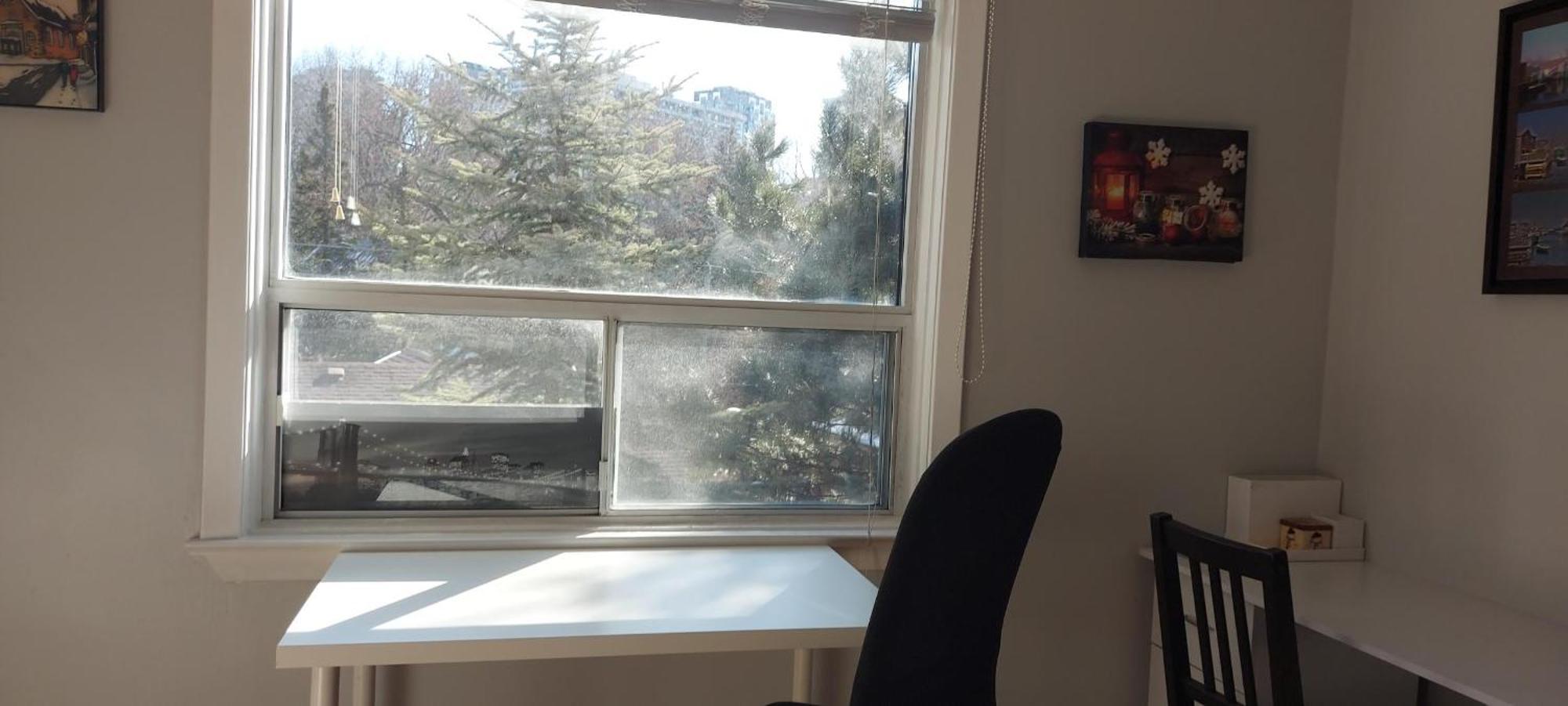 High Park Single With Personal Washroom And Kitchen *