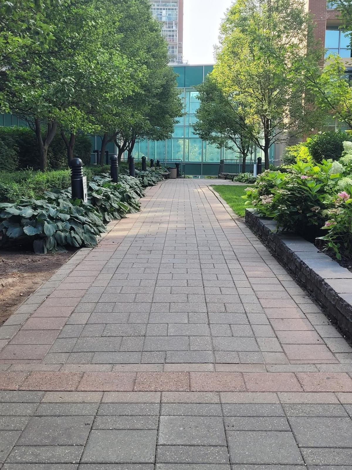 Downtown Spacious Lakeview 2 Beds Salt Water Pool Gym Free Parking Apartment *