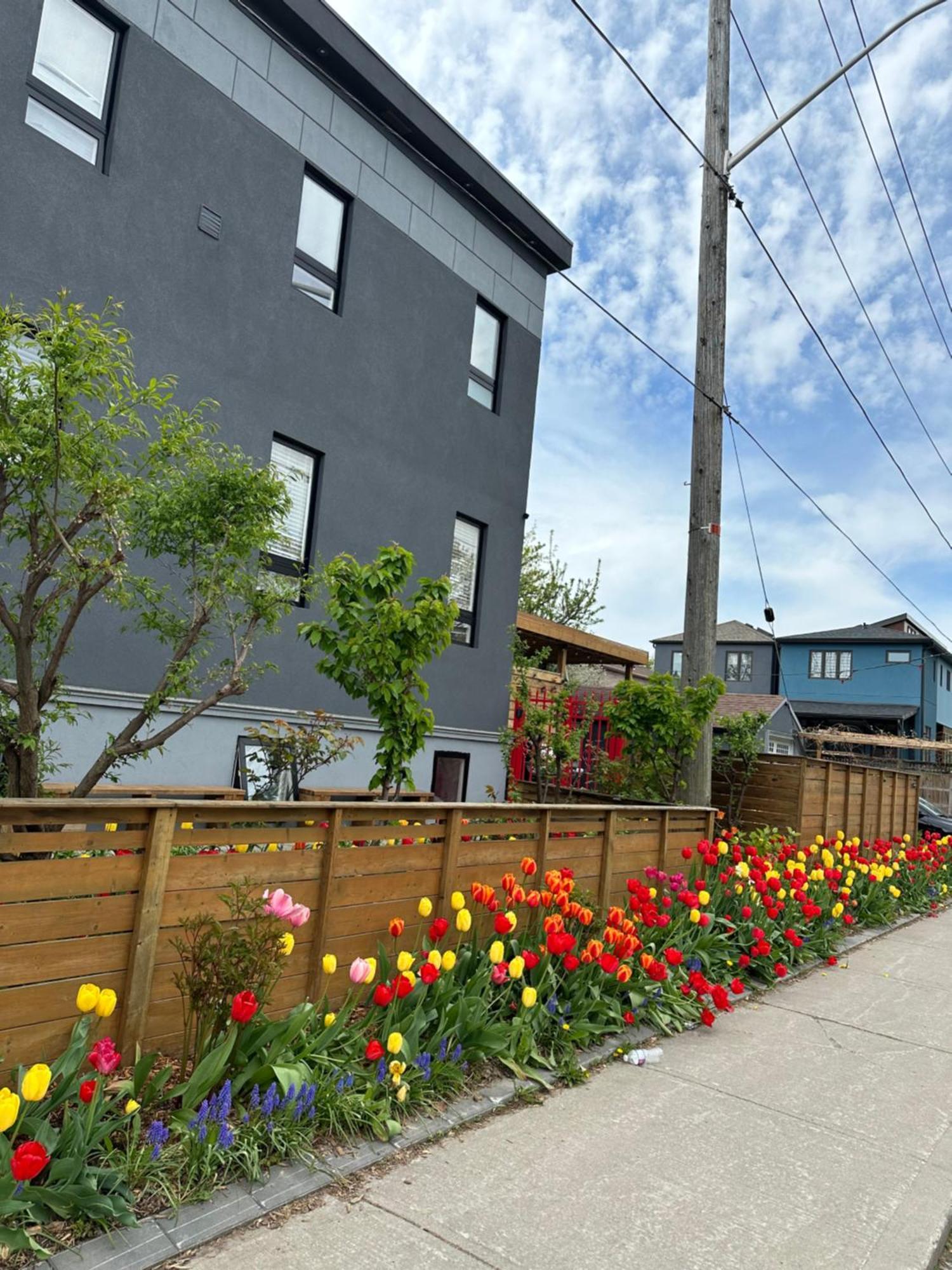 Lower Loft -space Share Toronto
