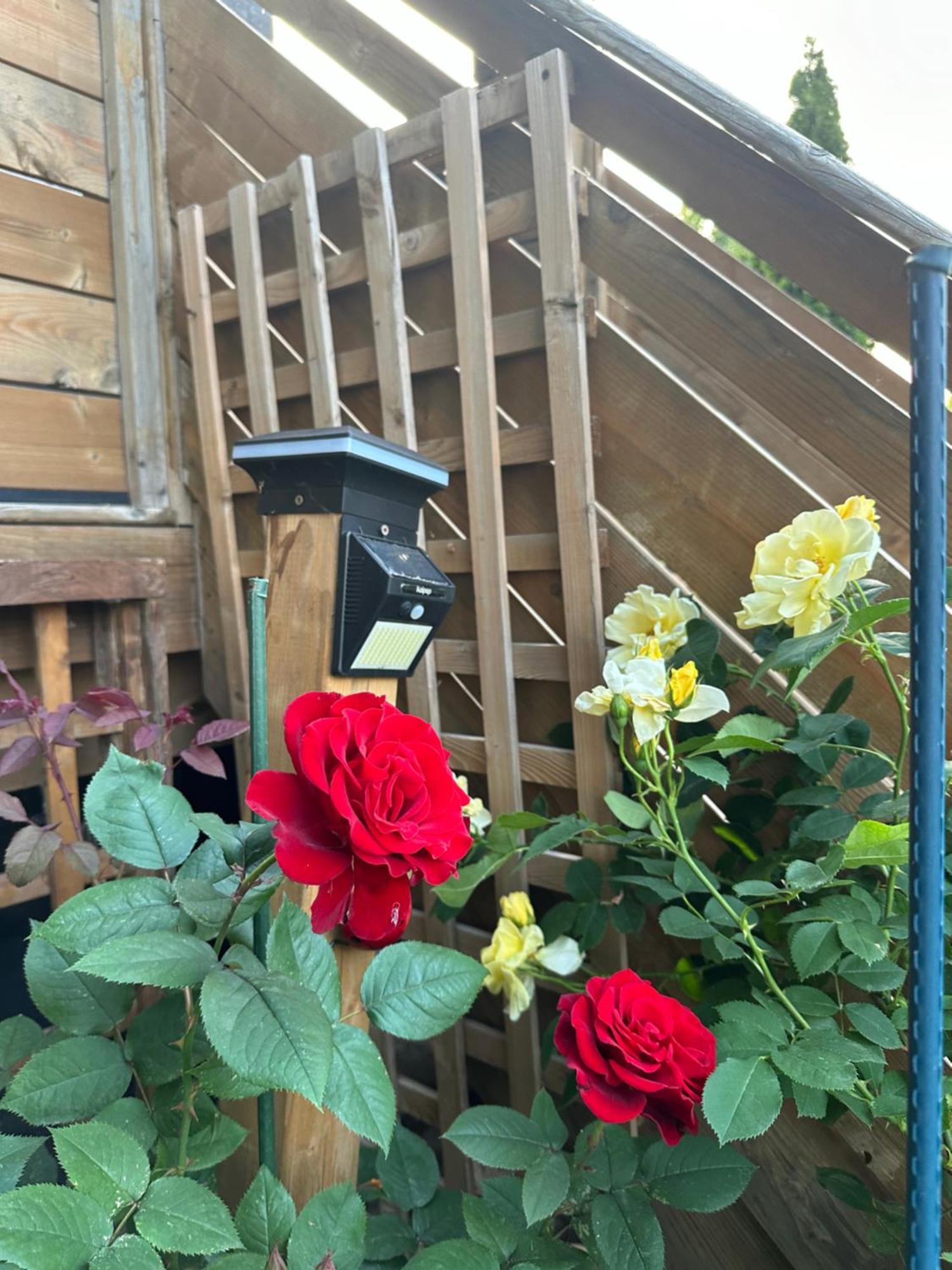 Lower Loft -space Share * Toronto
