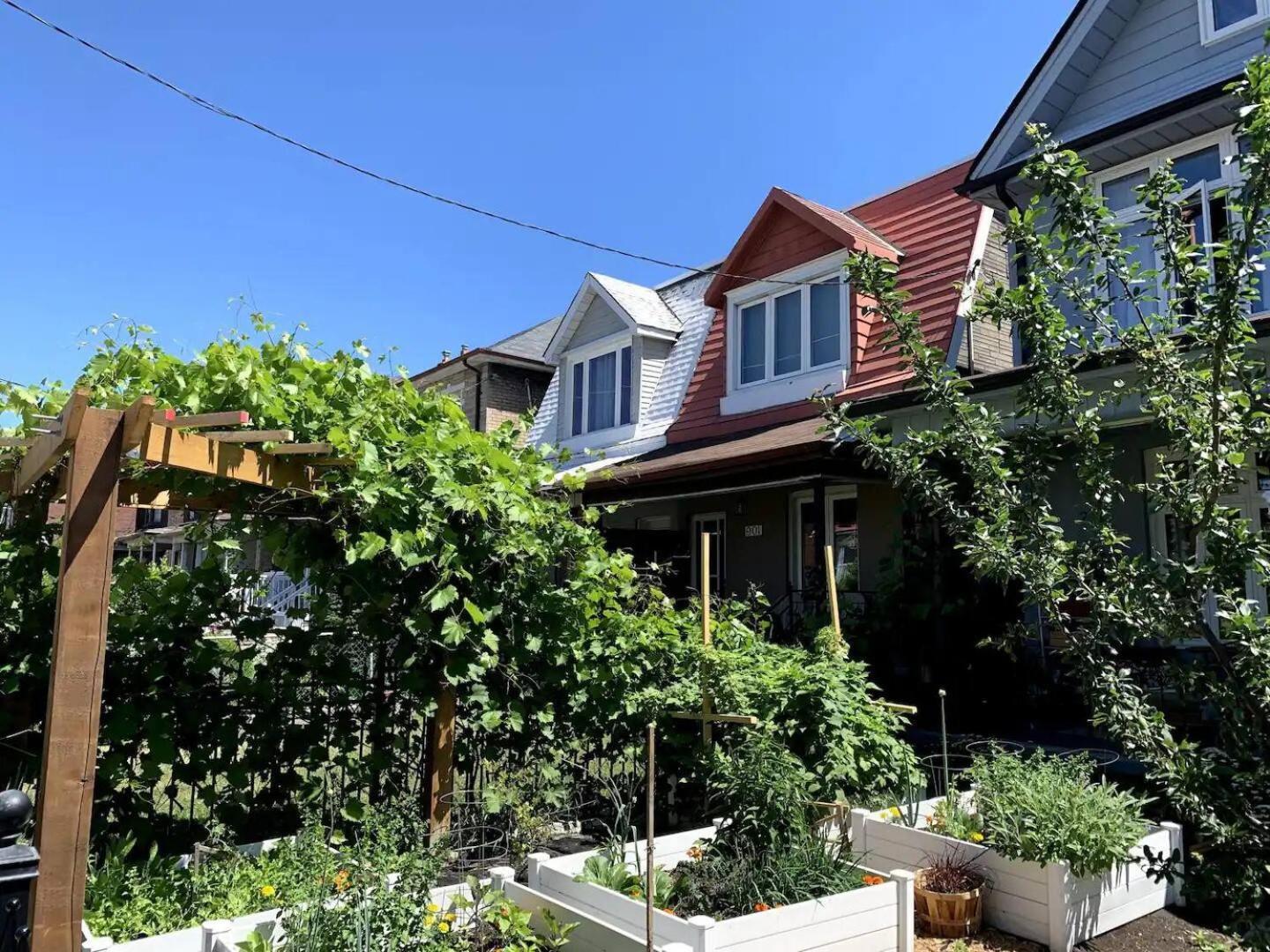 Organic Garden In Junction Triangle Holiday home *