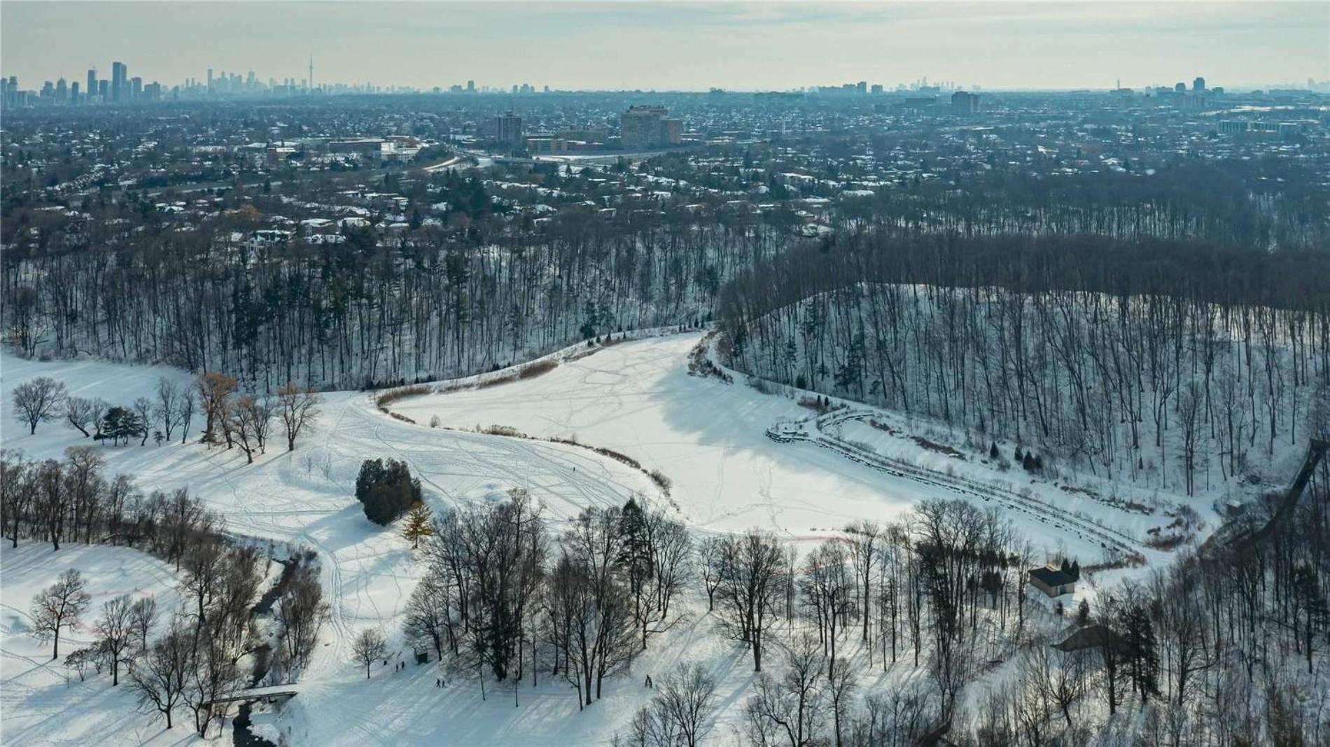 Entire House In Heart Of North York In The Nature