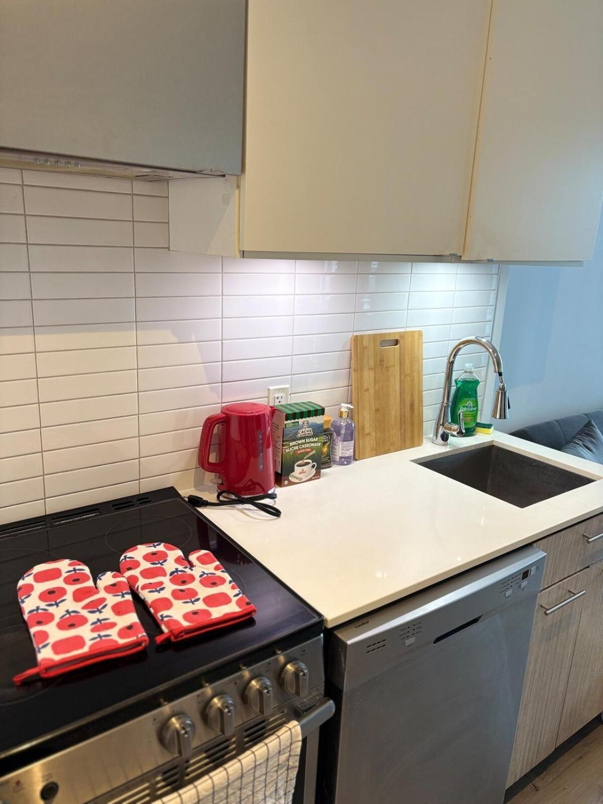 Amazing 2 Bedroom 3 Beds 1 Bath Dundas Square Apartment *