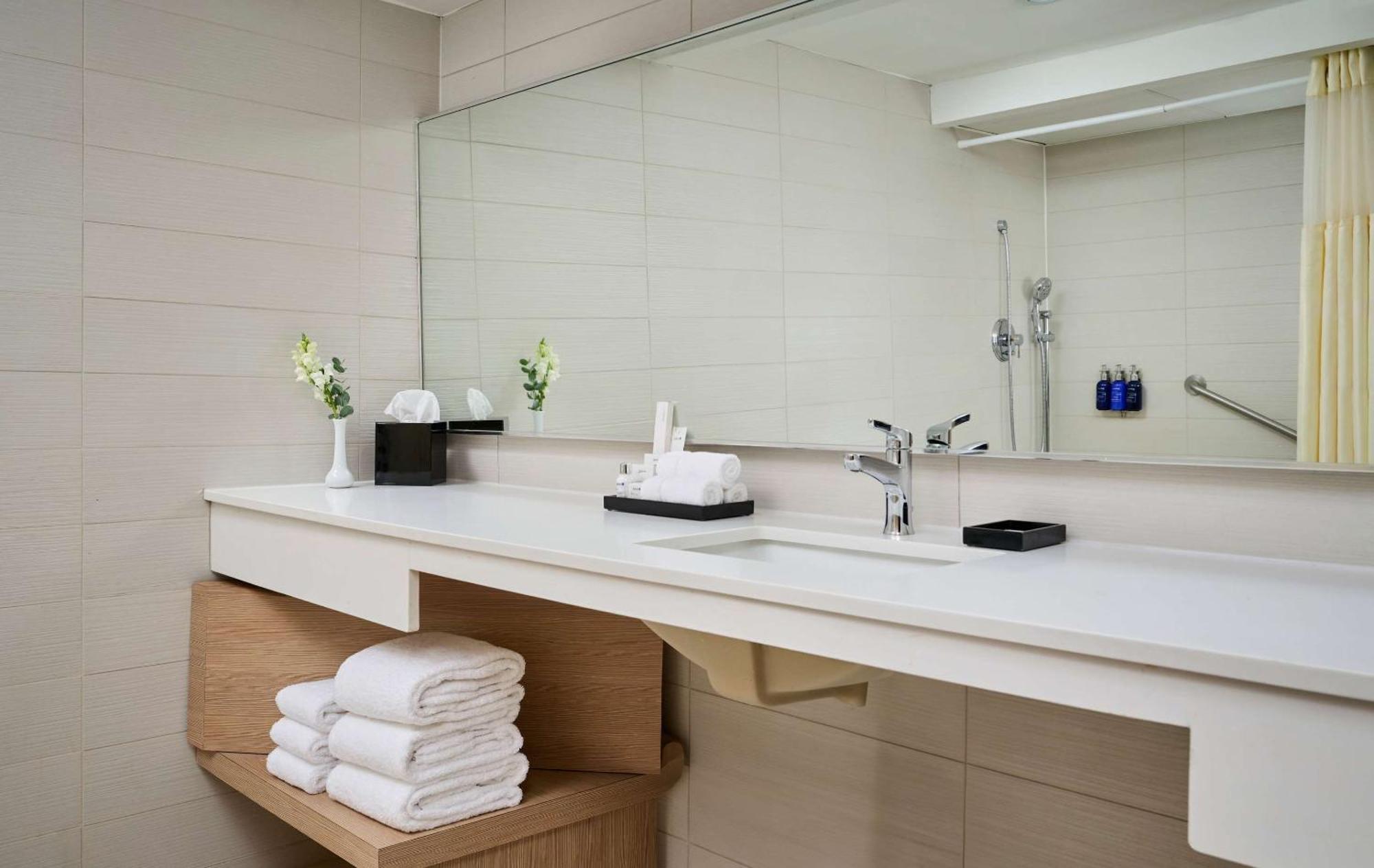 Hotel Radisson Blu Downtown 4*