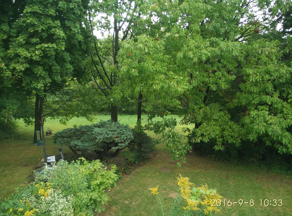 多伦多邓肯公园民宿 Duncan Park Guest house Toronto