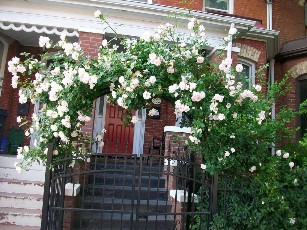 Comfy & Guest house