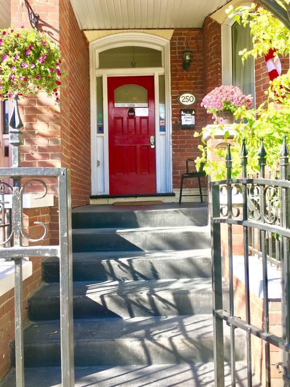 Guest house Comfy & Toronto