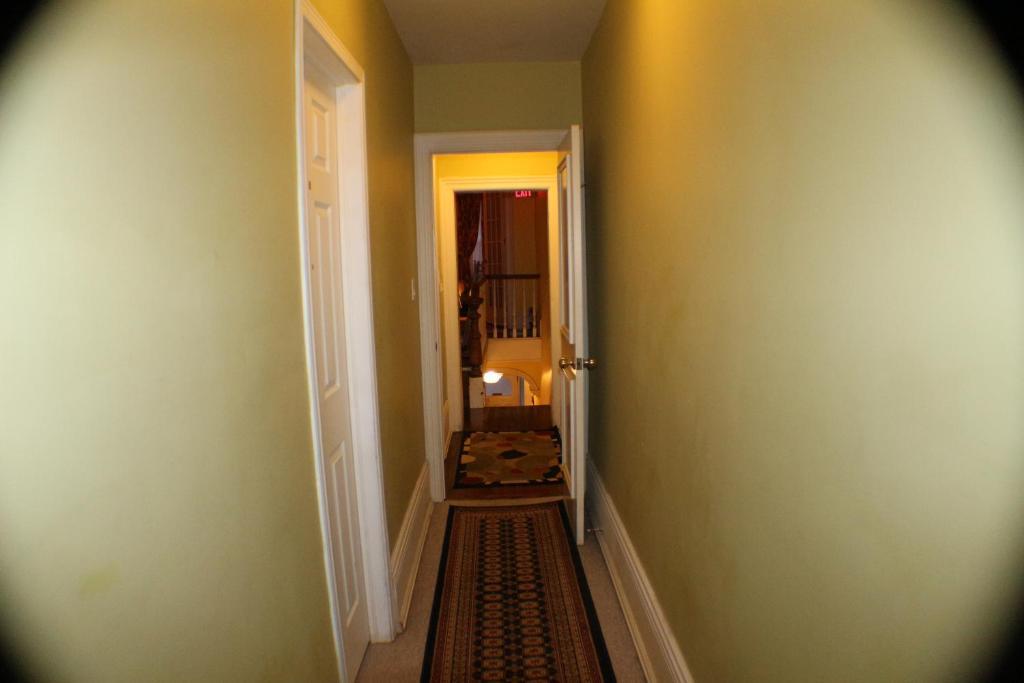 Comfy & Guest house