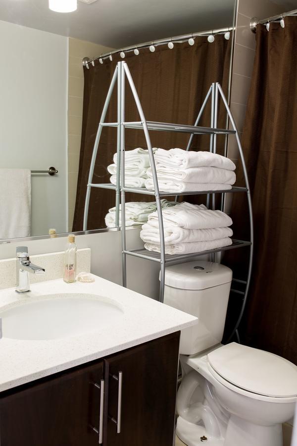 Yonge And Wellesley Apartment *
