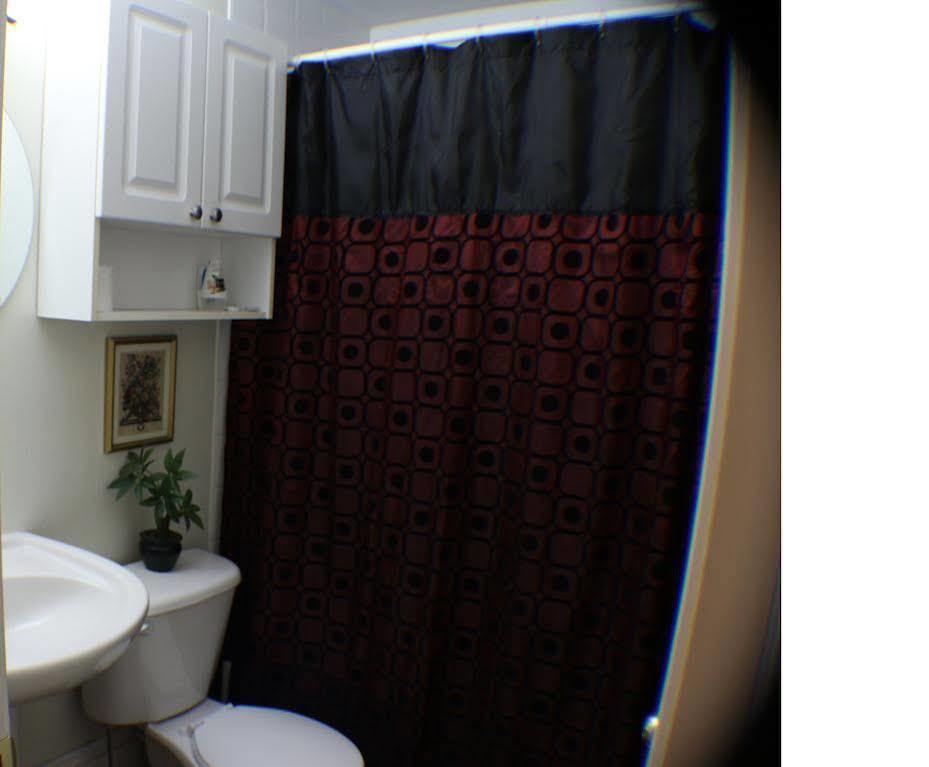 Comfy & Guest house