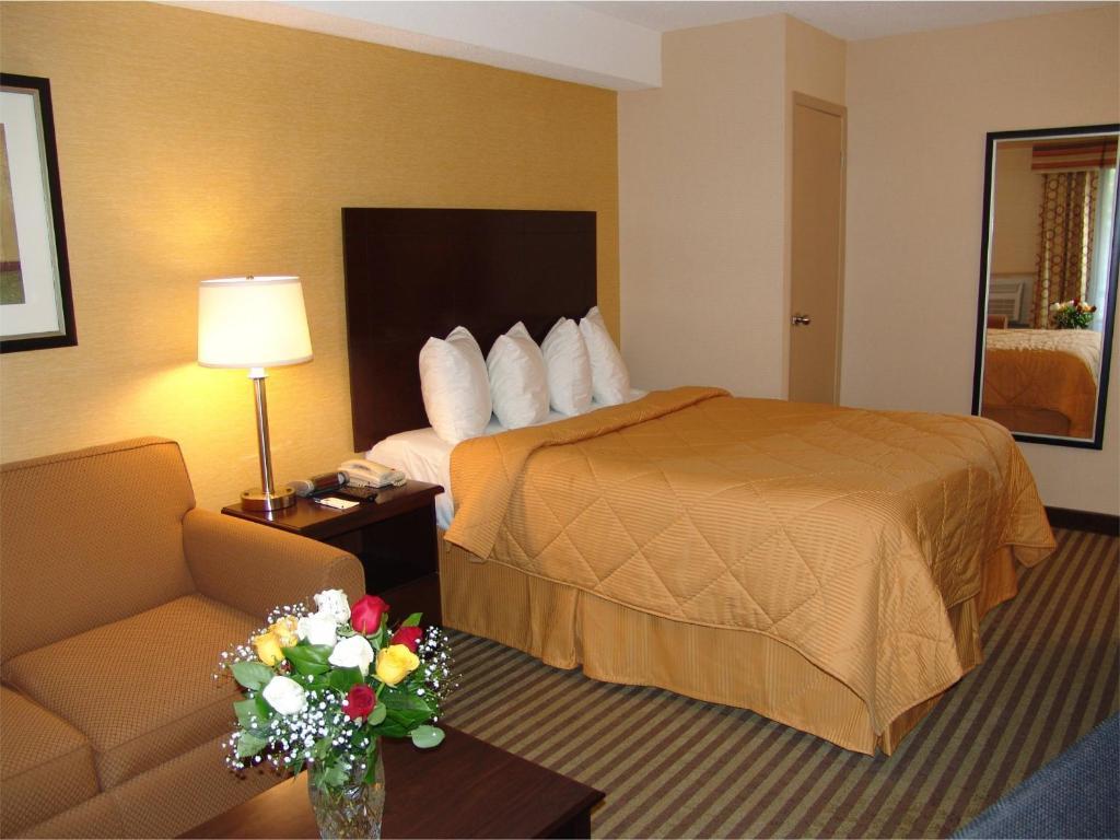 Comfort East Scarborough Hotel