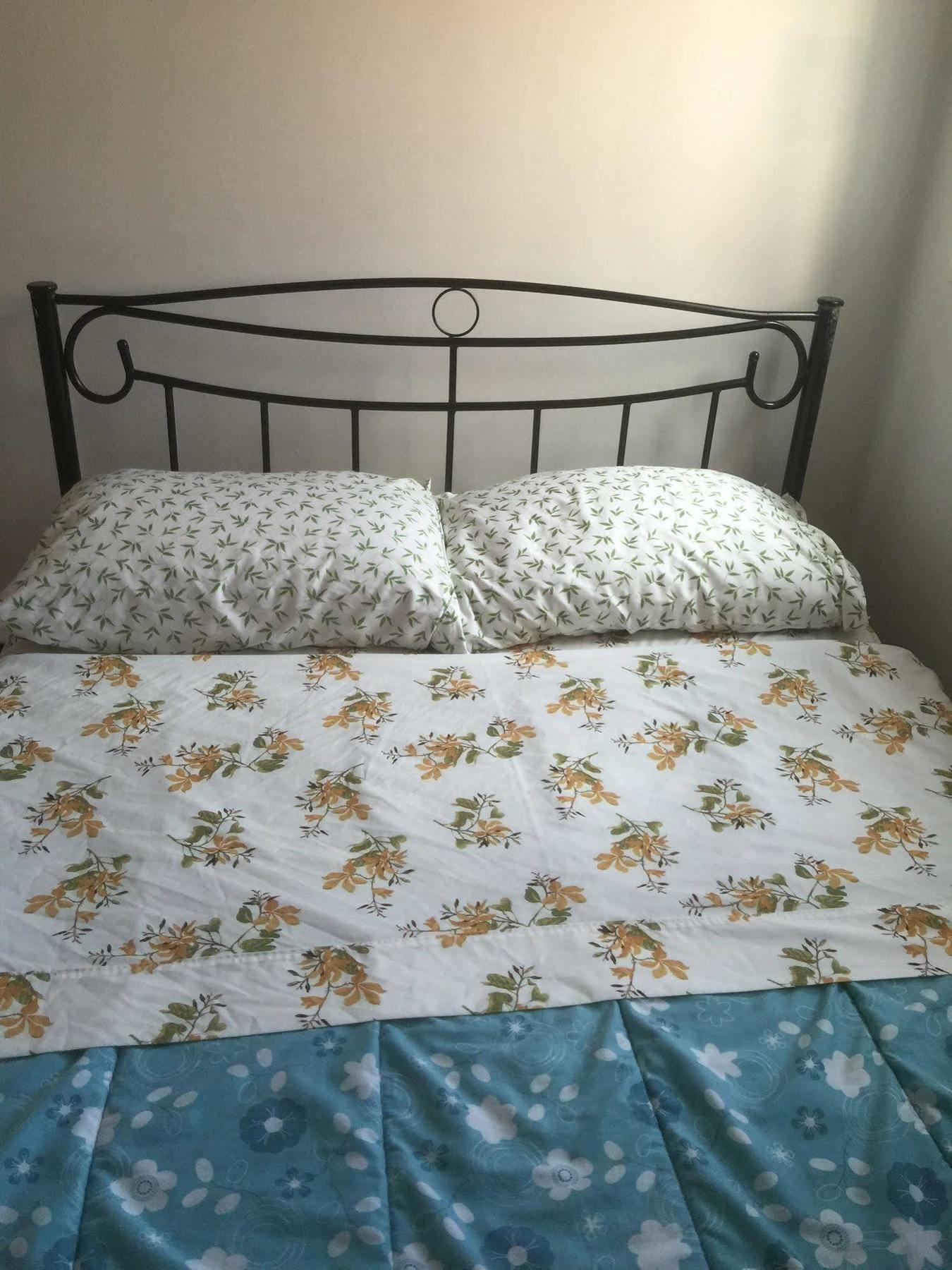 Guest house University Apartment Toronto