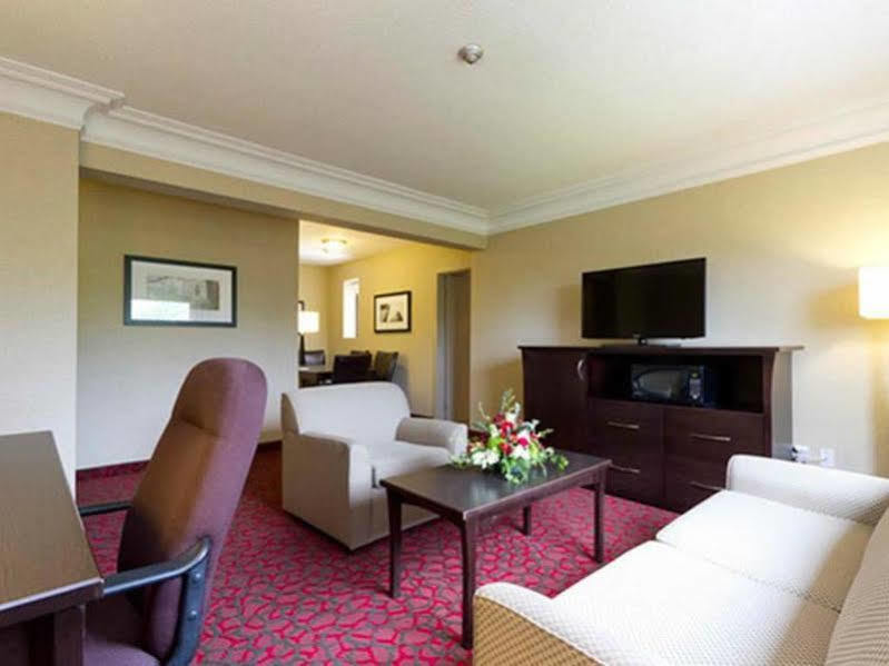 Hotel Hampton & By Hilton Downtown Toronto