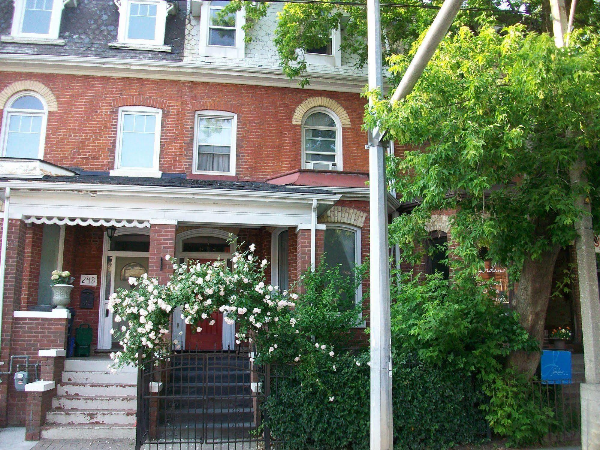 Comfy & Guest house