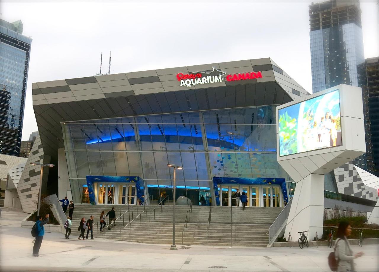 Crown Suites - Downtown Toronto Apartment *
