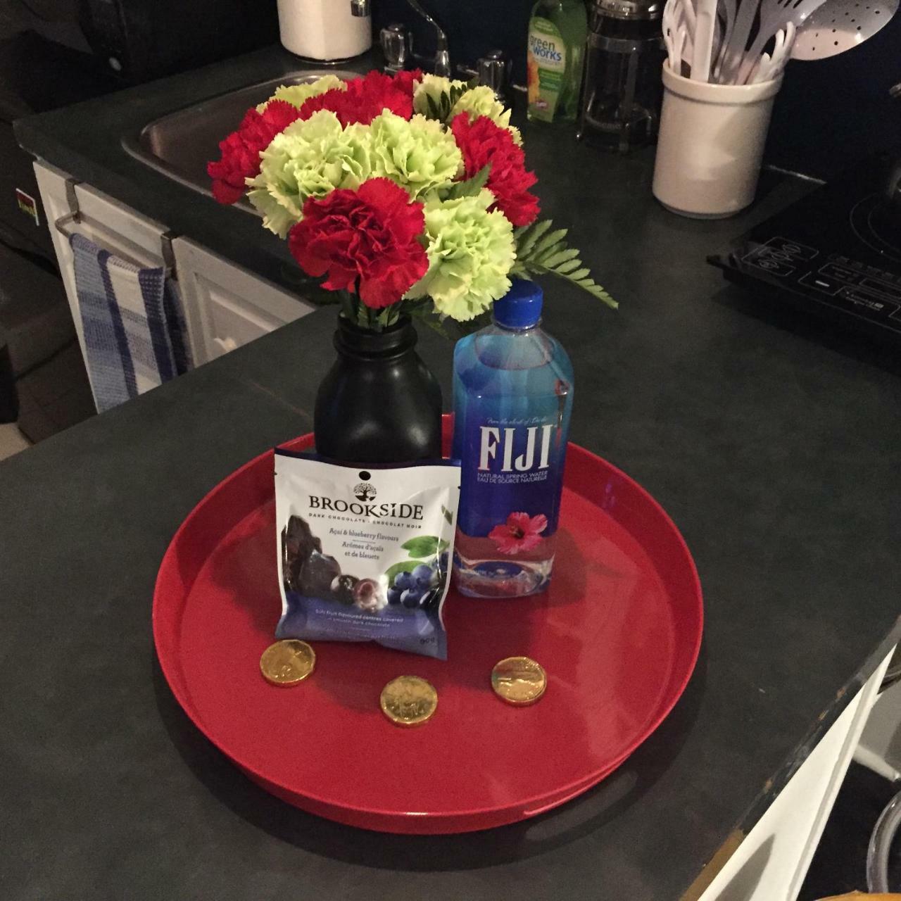 Apartment Cabbagetown Bachelor *