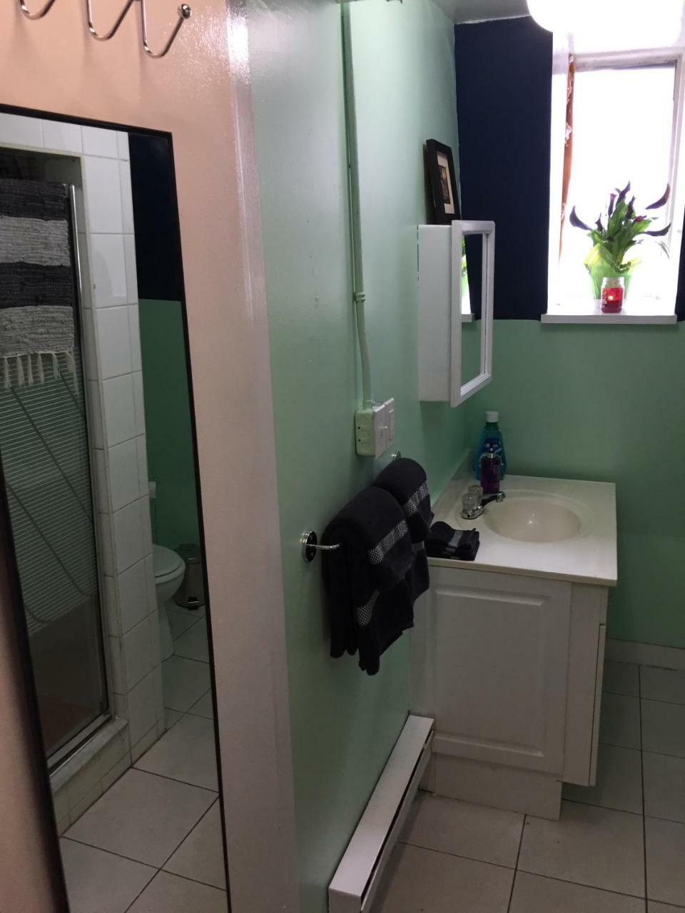 Apartment Cabbagetown Bachelor