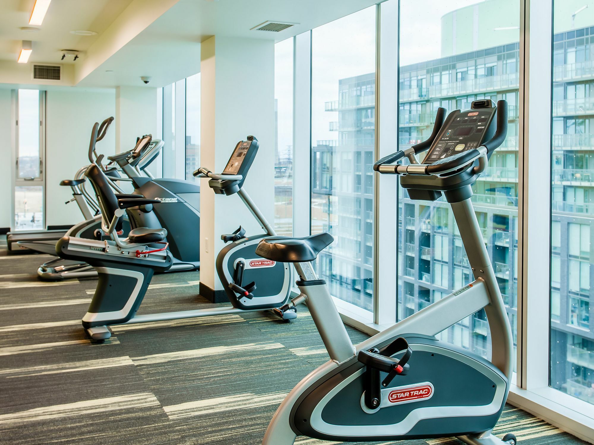& Conference Centre - Downtown Apartment Toronto