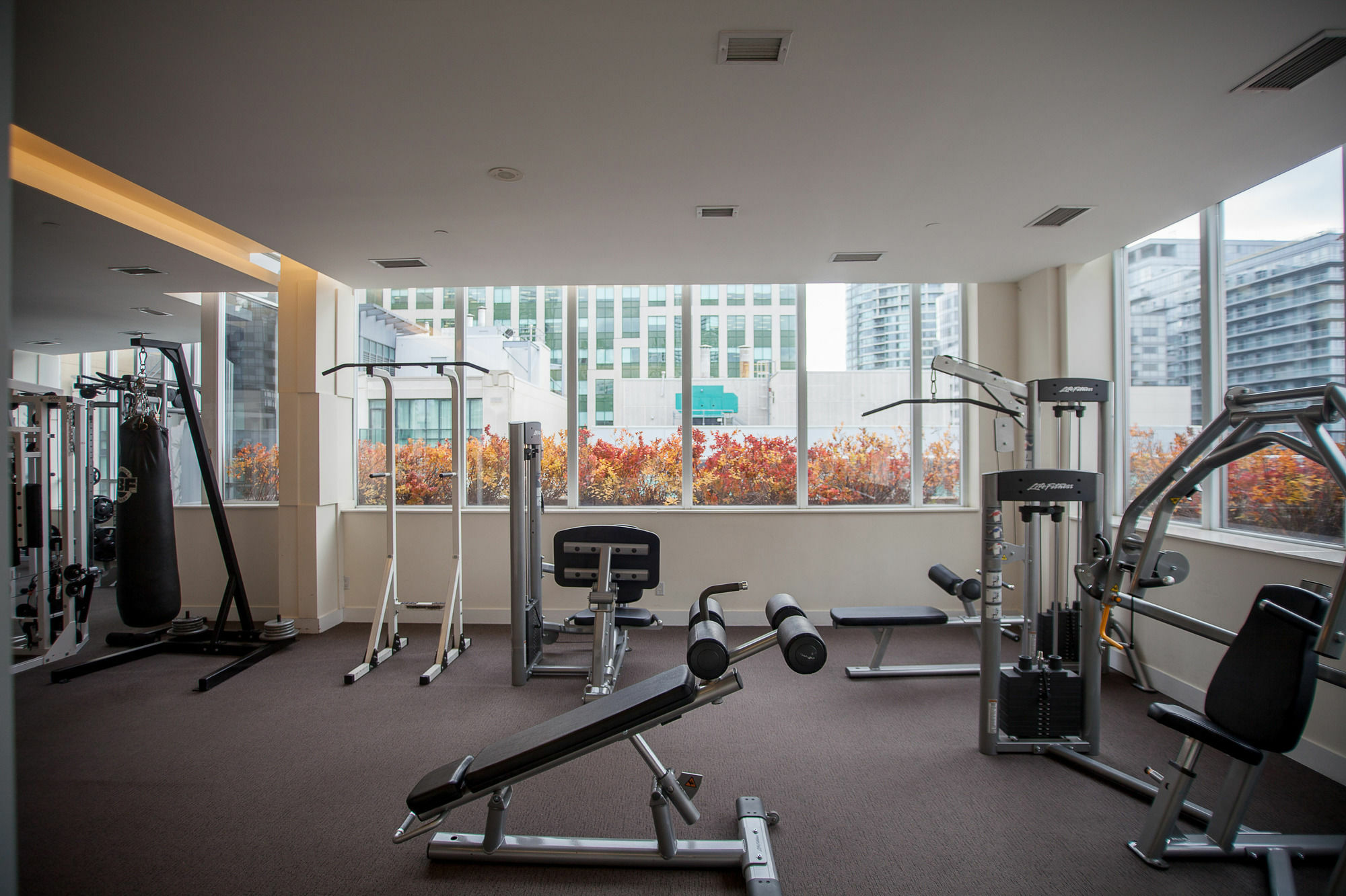 Red Maple - Icon Apartment Toronto