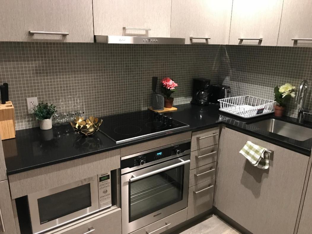 Skyview Brand New In Core Business District Apartment