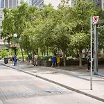 Elegance In Yorkville