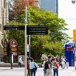 Elegance In Yorkville