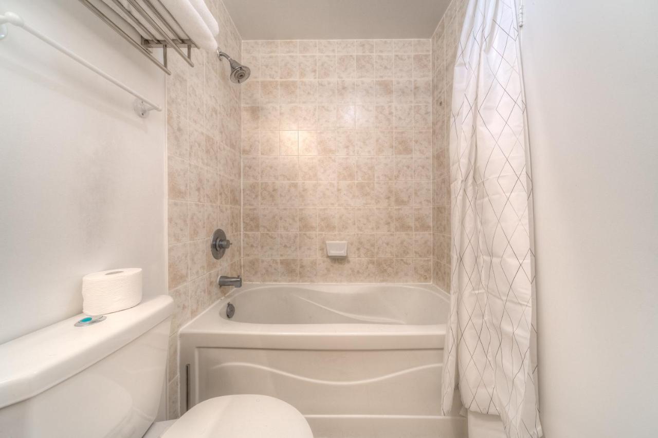Stylish Newly Furnished With Beautiful View Toronto