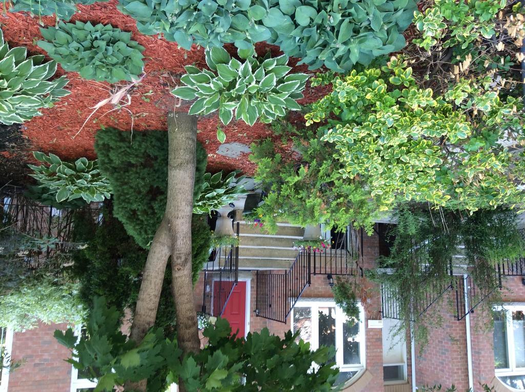 Bed & Breakfast A Dreams (adults Only) 3*