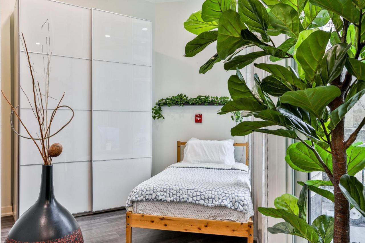 Luxury Treelife Toronto