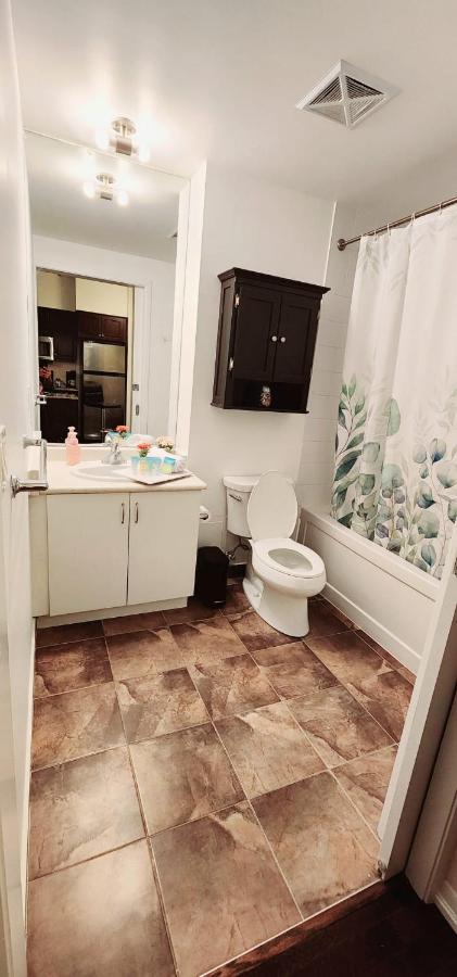 Apartment Lakeview In Downtown With Free Parking. Toronto