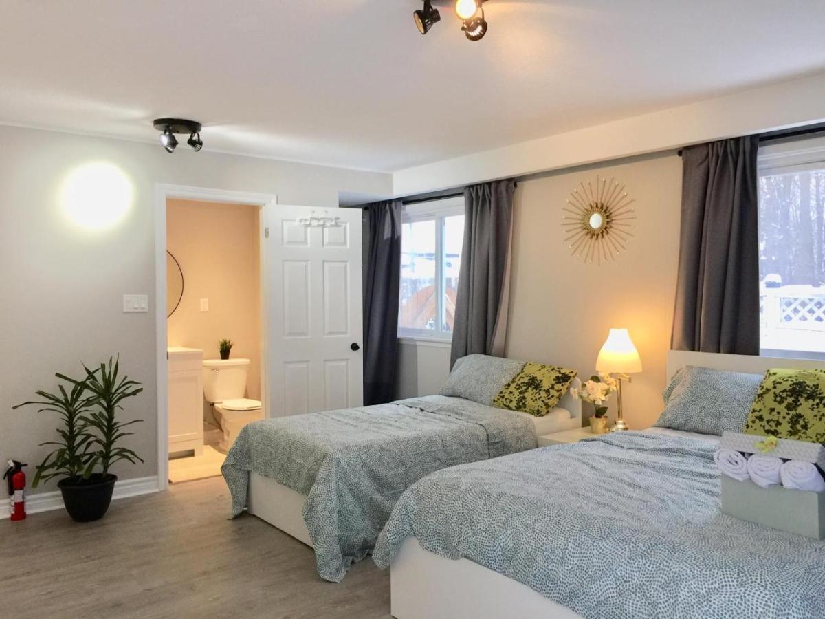 Grandravine/beautiful Unit Near Downtown Guest house *