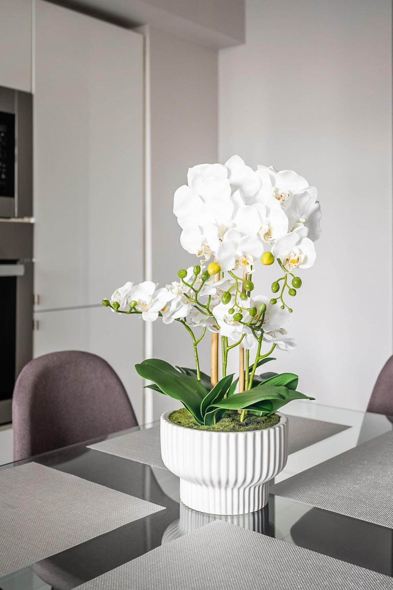 Globalstay Fabulous Apartment Toronto
