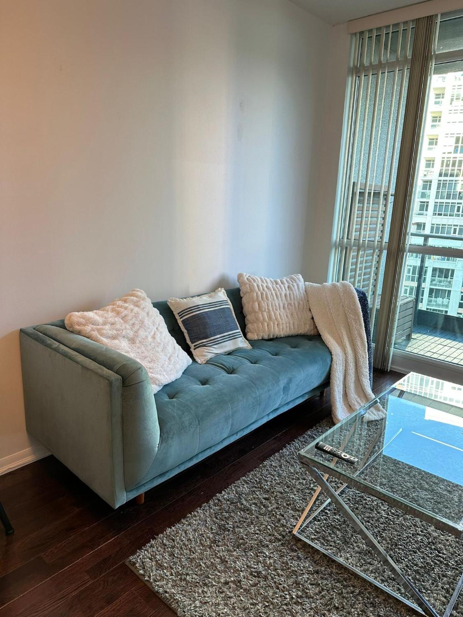 Apartment Lakeview In Downtown With Free Parking. Toronto