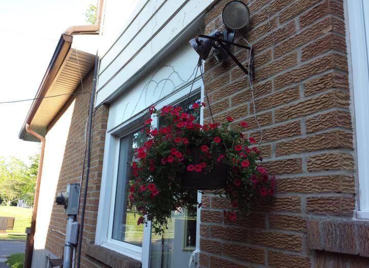 Homestay Peaceful Serenity House Toronto