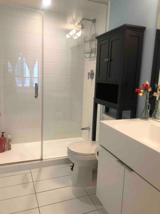 Apartment Comfy 1br & Den With Balcony- Close To Cn Tower Toronto