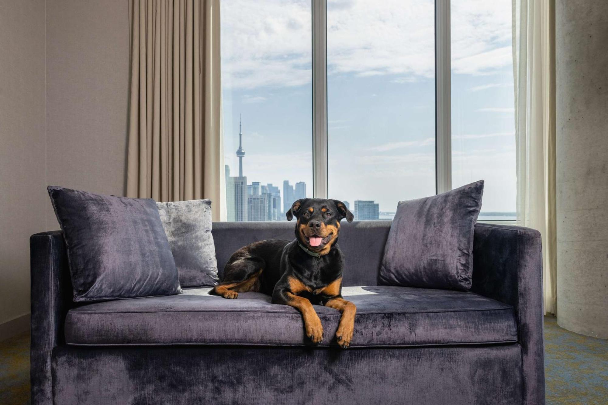 X Toronto, A Destination By Hyatt Toronto