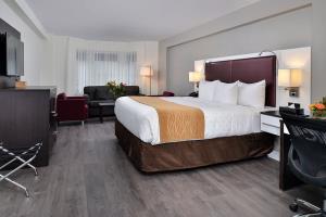 The Saint Hotel, Ascend Collection Toronto