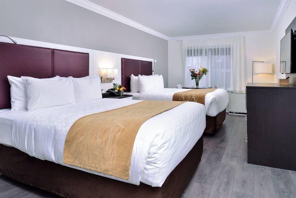 The Saint Hotel, Ascend Collection 3* Toronto