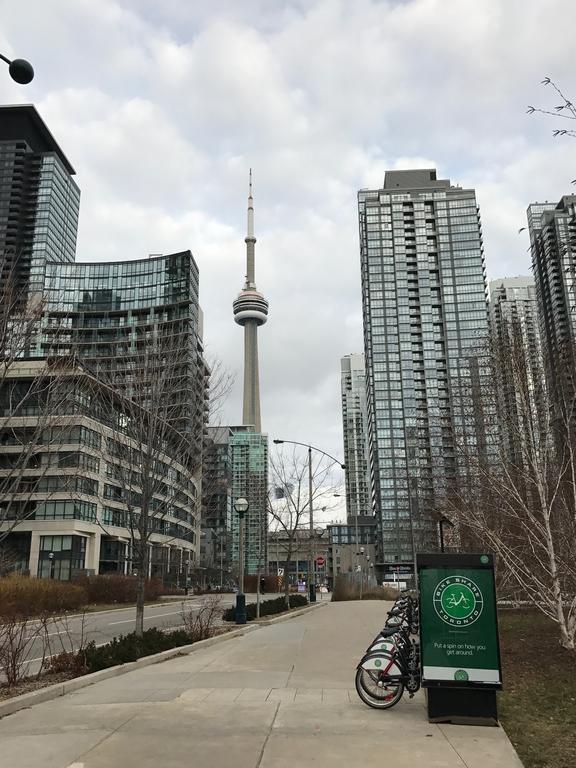 Downtown / Close To Cn Tower / Free Parking/ Excellent Amenities Apartment *