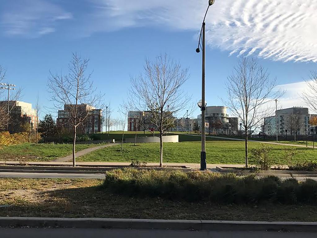 Downtown / Close To Cn Tower / Free Parking/ Excellent Amenities Apartment Toronto