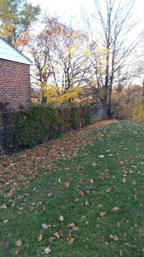 Bed & Breakfast On The Park Near Downtown Area *