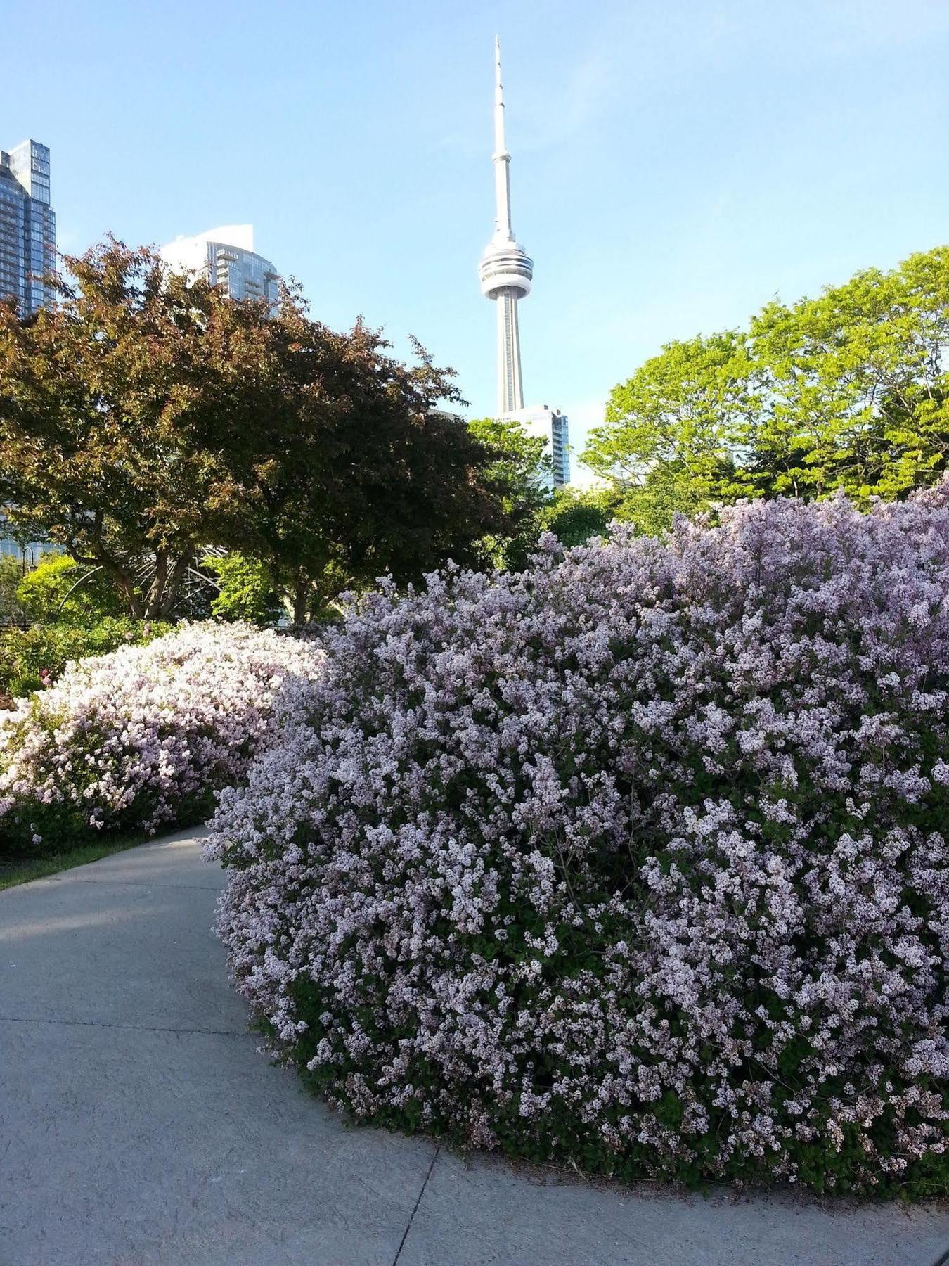 Bed & Breakfast Making Waves Boatel Toronto
